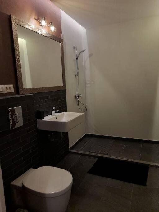 Alto Studio & Free Private Parking Brašov Exteriér fotografie